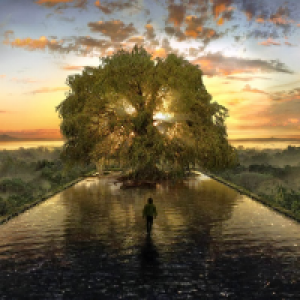 Profile avatar image for elora_dennon