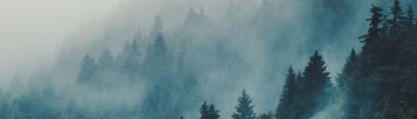 Profile banner image for Mulberrywords