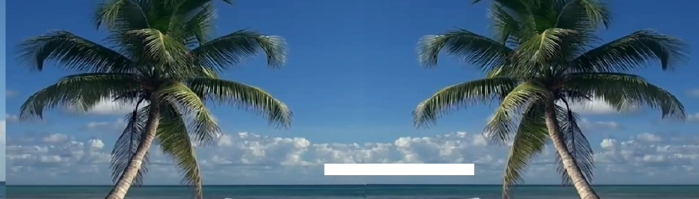 Profile banner image for EVERGREEN007