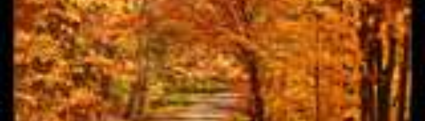 Profile banner image for StoryBored