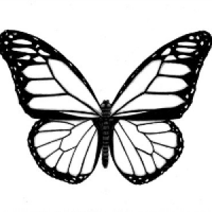 Profile avatar image for Monarch