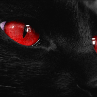 Profile avatar image for smichaelis