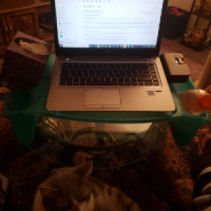 Profile avatar image for Soliloquill