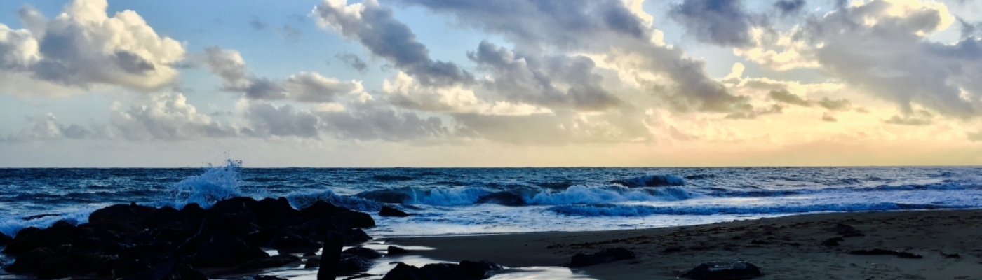 Profile banner image for SonnyTreblot