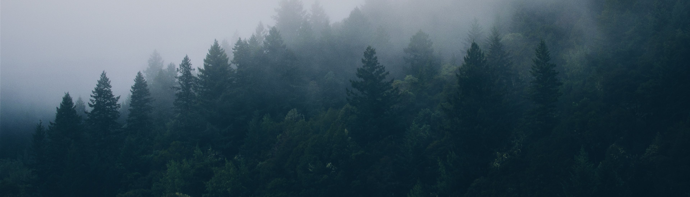 Profile banner image for lizziegrosser