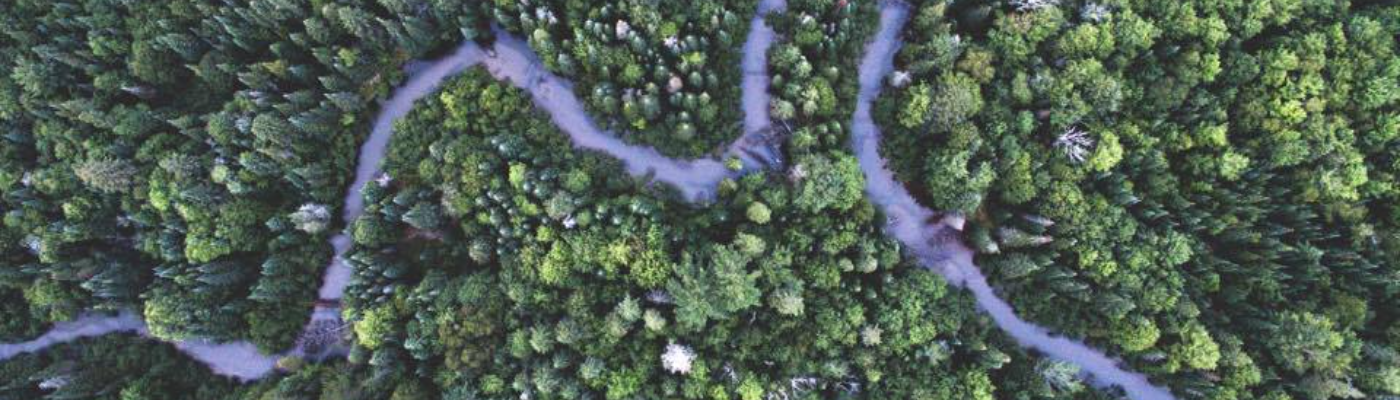 Profile banner image for TomCat