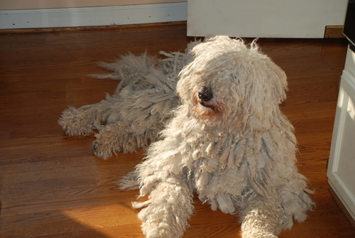 Profile avatar image for dboyznme