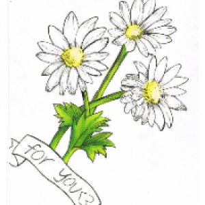 Profile avatar image for freethor