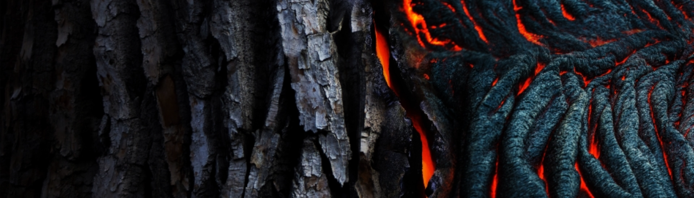 Profile banner image for Anarra_Erin