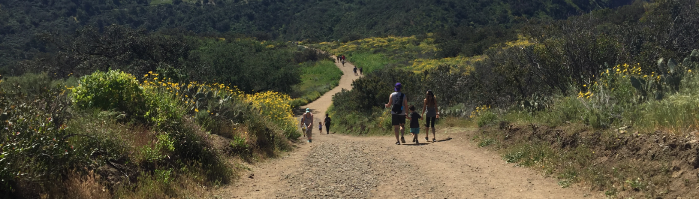 Profile banner image for AsherRenee