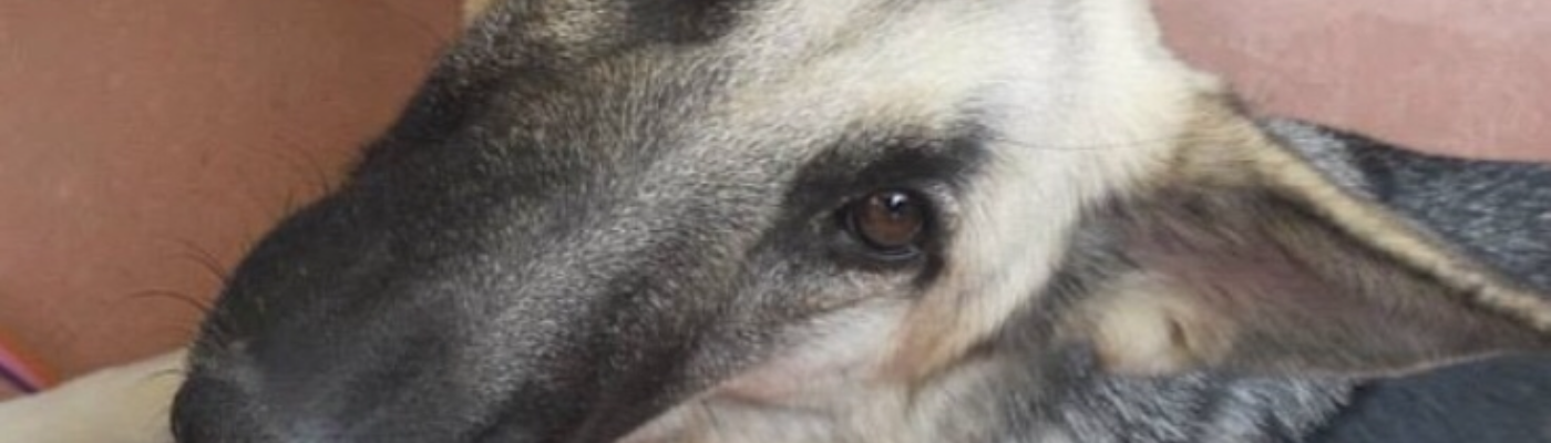 Profile banner image for emarenoelle