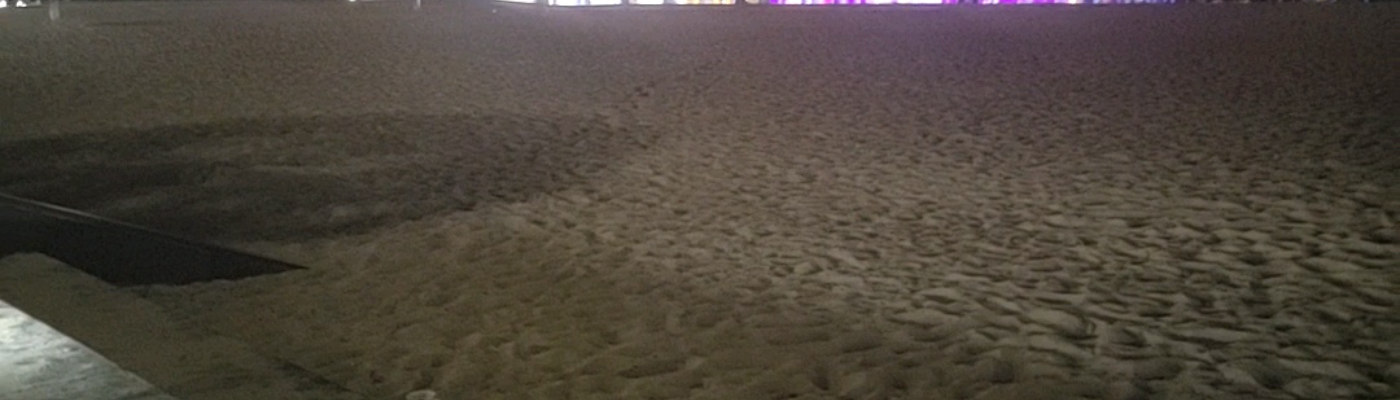 Profile banner image for Wilmer