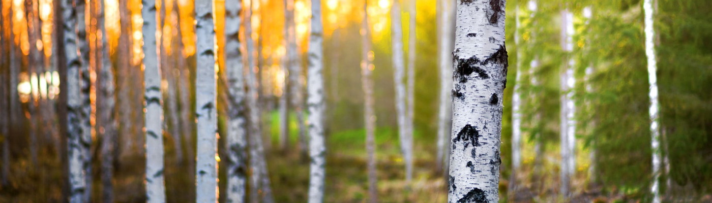 Profile banner image for A_L_S