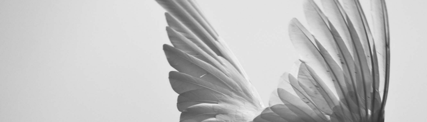 Profile banner image for GraeMarie