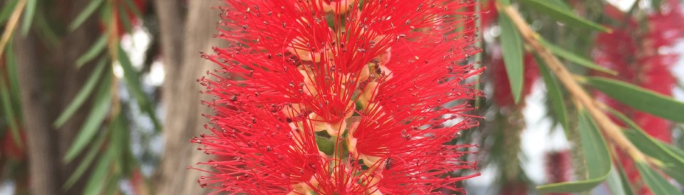 Profile banner image for leeh