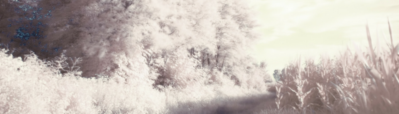 Profile banner image for ACDominguez