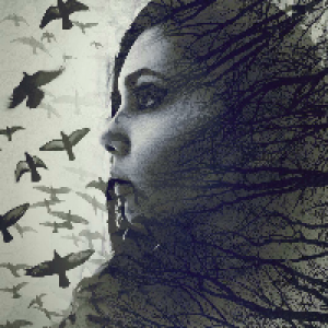 Profile avatar image for ACDominguez