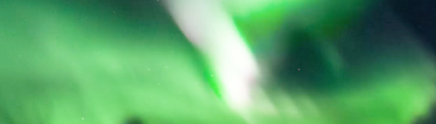 Profile banner image for Layneebug