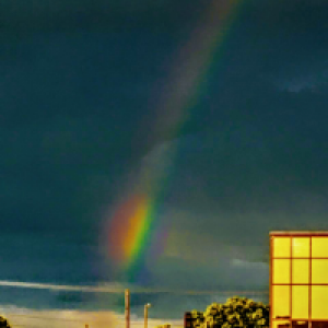 Profile avatar image for Kimberleigh