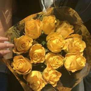 Profile avatar image for itsalicoats