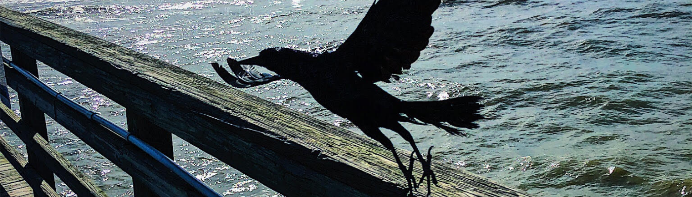 Profile banner image for marieouellette