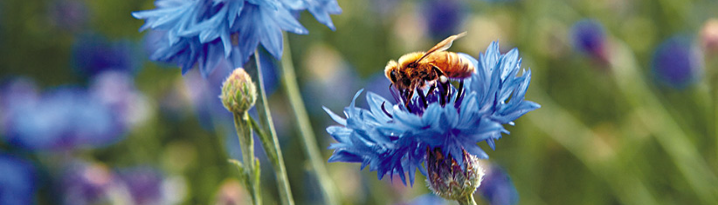 Profile banner image for Lovehurts