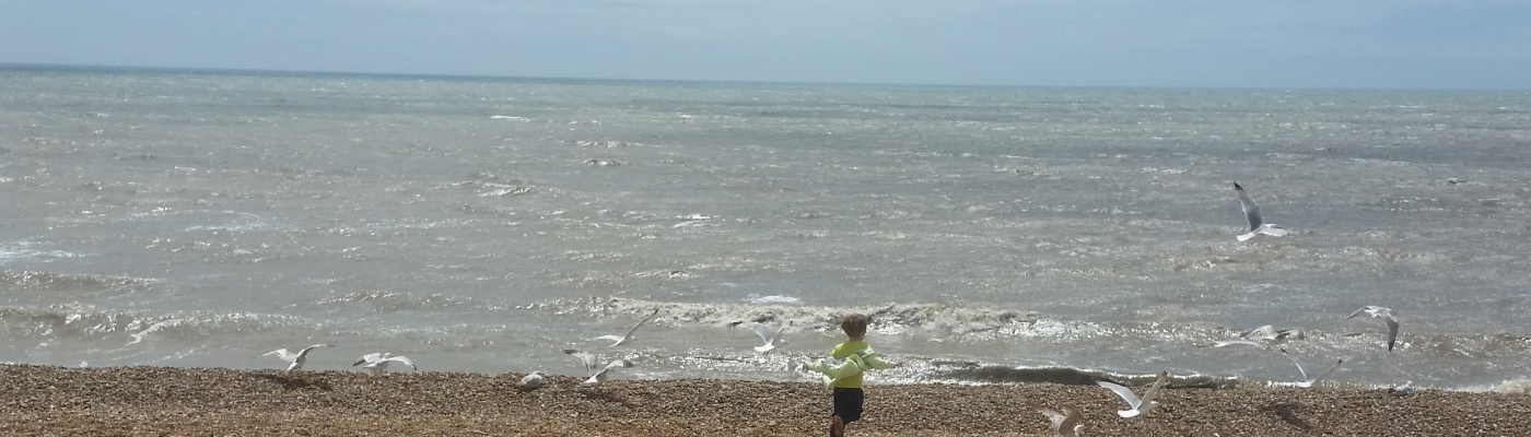 Profile banner image for StealVictories