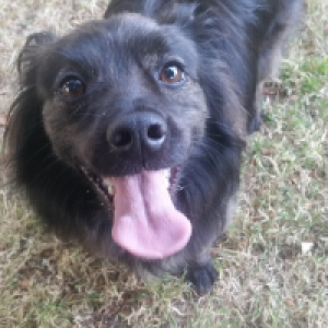 Profile avatar image for StealVictories