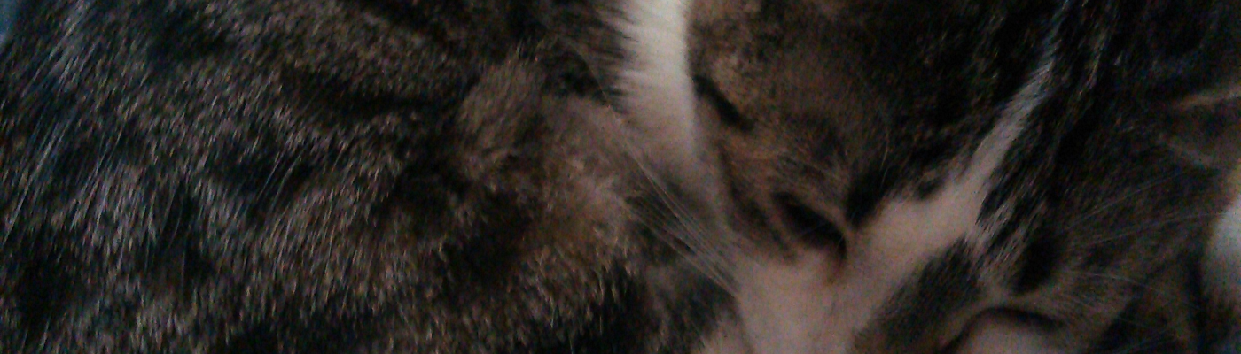 Profile banner image for 2Bamboopanda