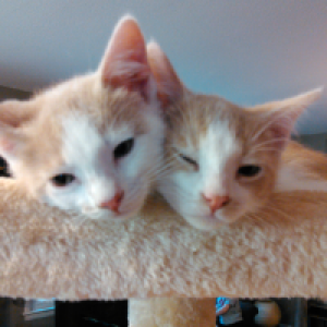 Profile avatar image for 2Bamboopanda