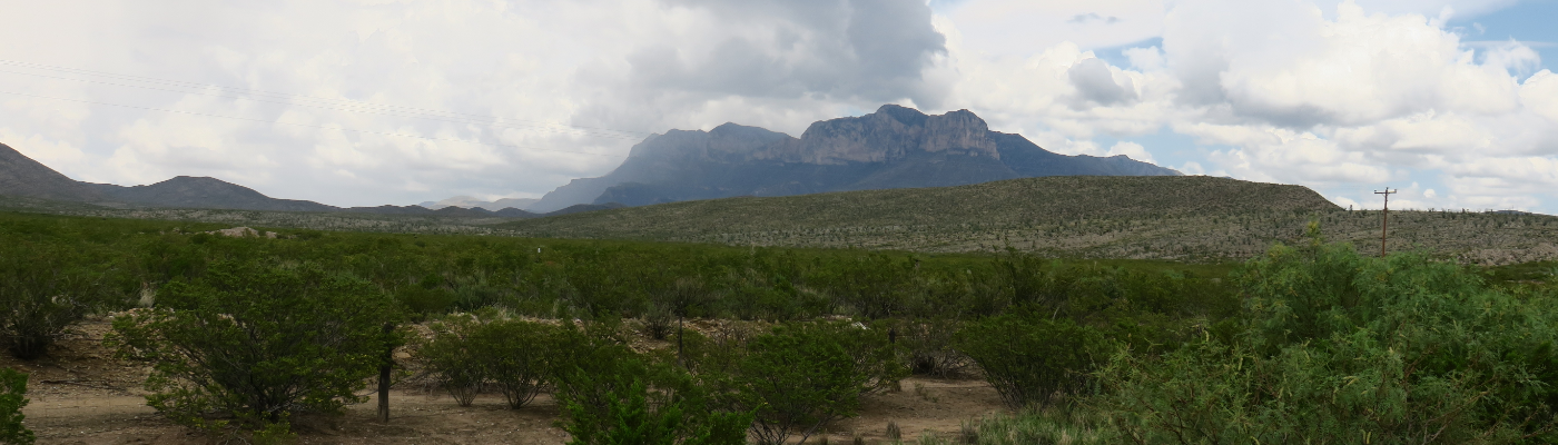 Profile banner image for Reindolf