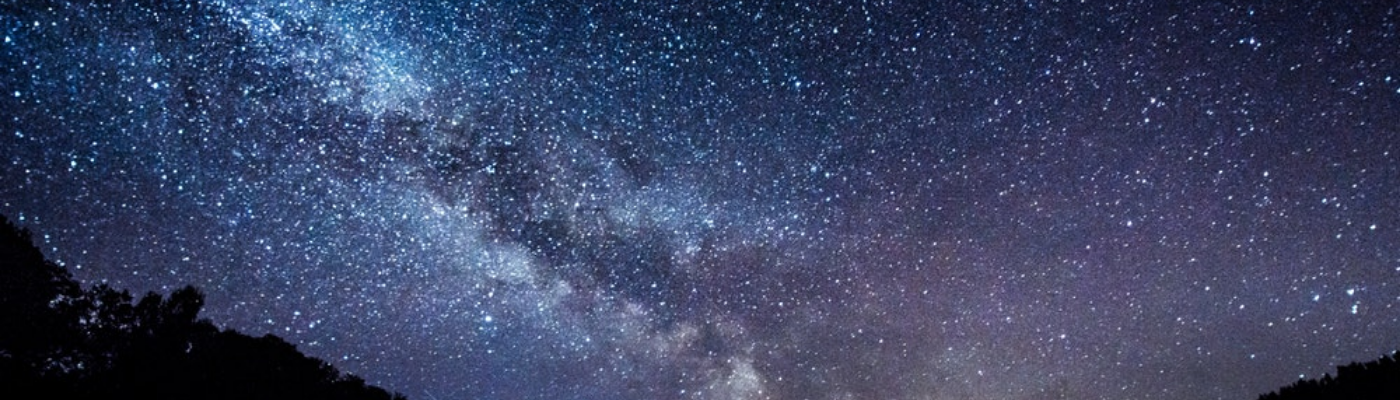 Profile banner image for Dragonfly