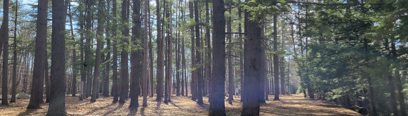 Profile banner image for mdettinger