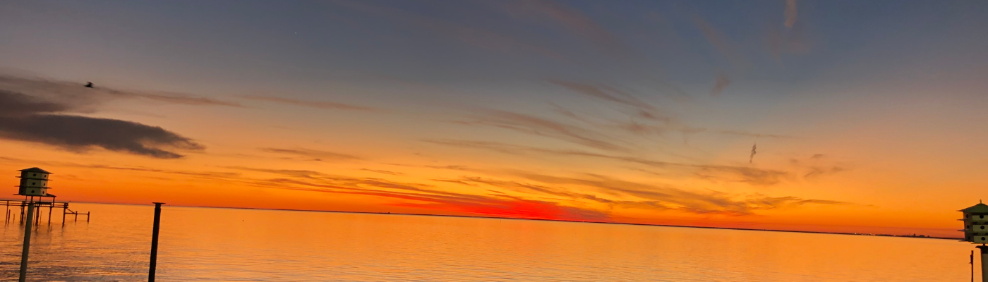 Profile banner image for Lizzle