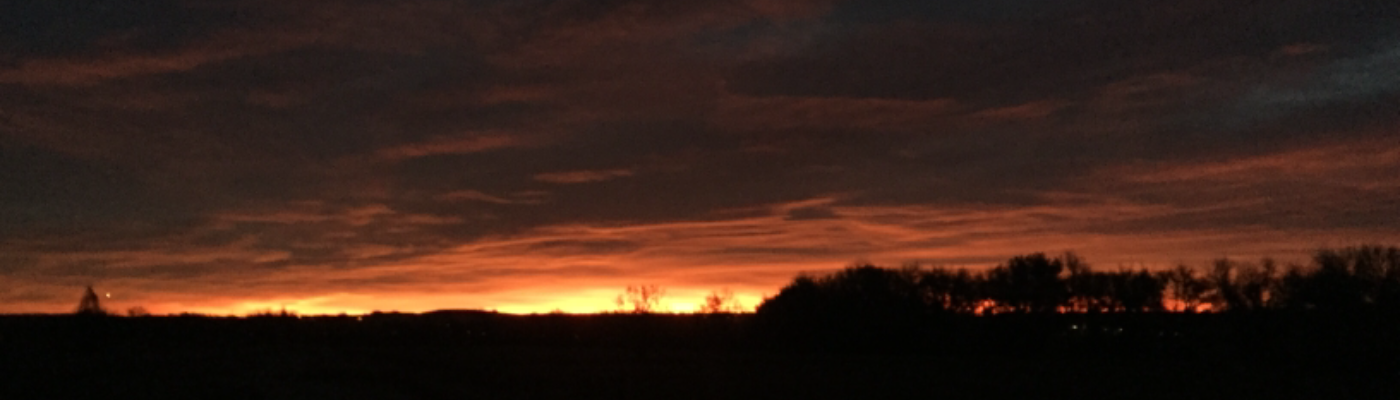 Profile banner image for 100porkchops