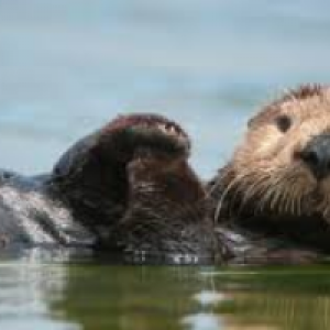 Profile avatar image for PeachyJ