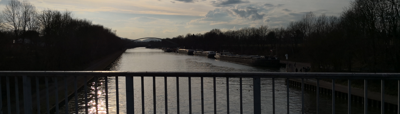 Profile banner image for SkullAndreja