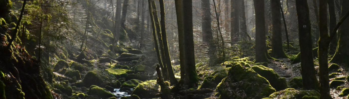 Profile banner image for Cowfman