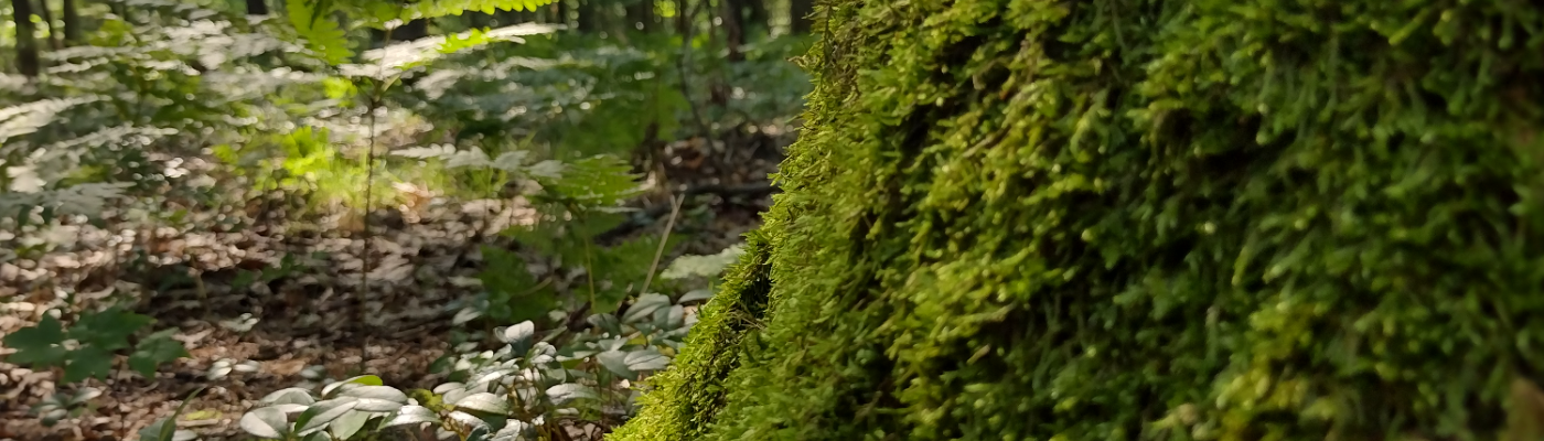 Profile banner image for JoGirl