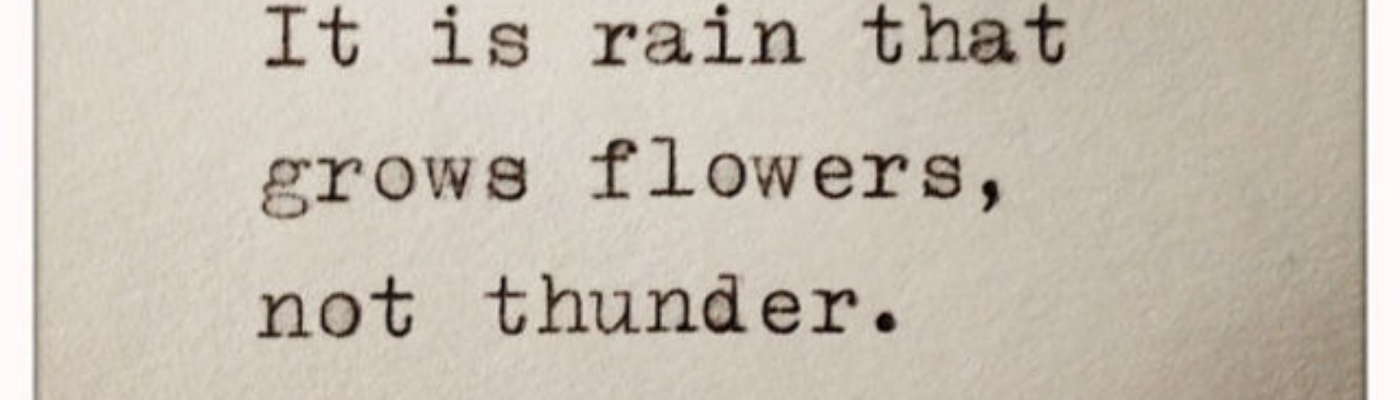 Profile banner image for seashell_96