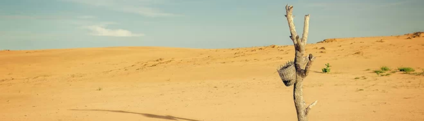 Profile banner image for Stuck