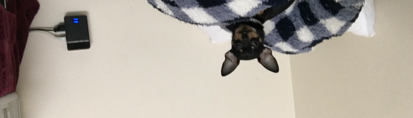 Profile banner image for Napk1nz