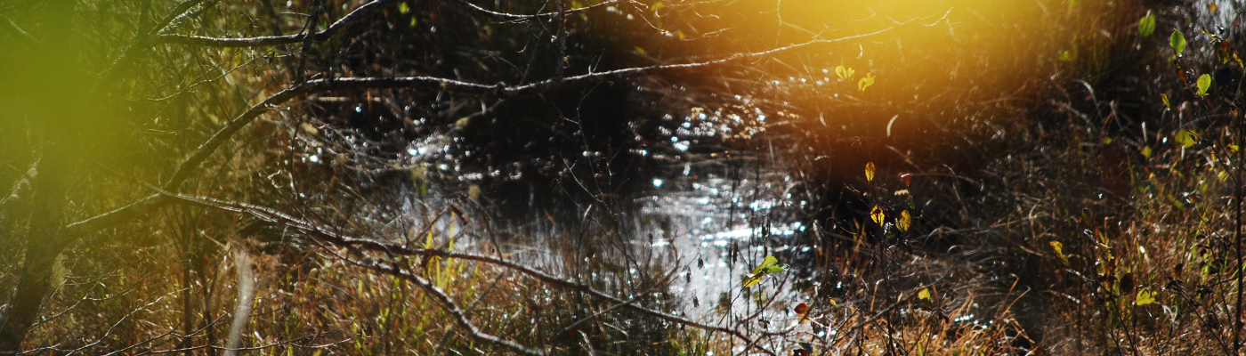 Profile banner image for AthenaValery