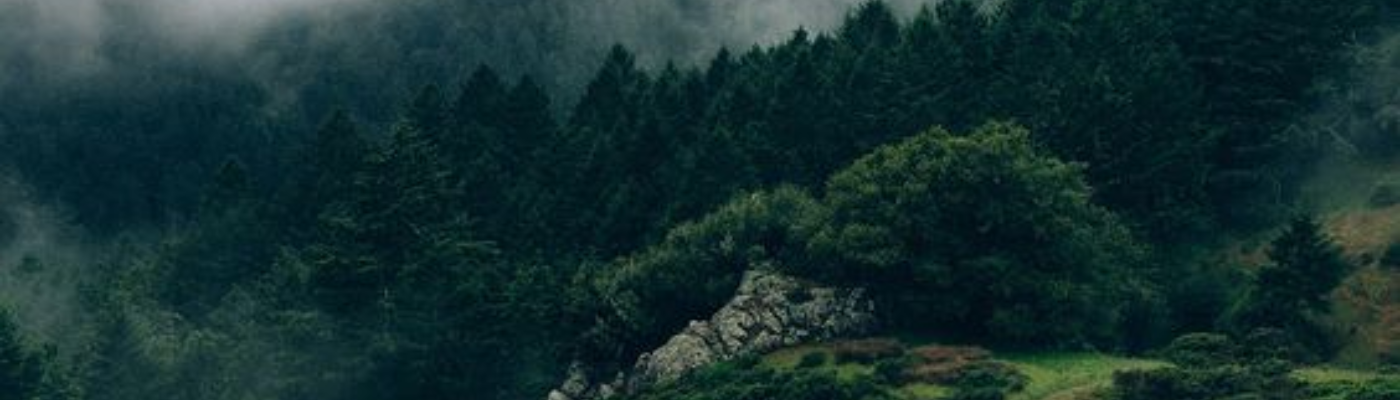 Profile banner image for WriterWriter