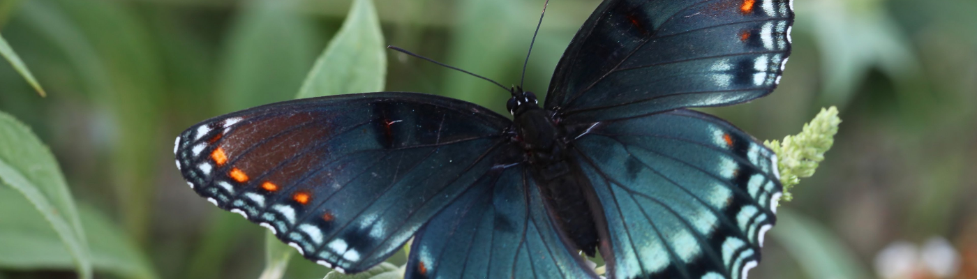 Profile banner image for KEM2016