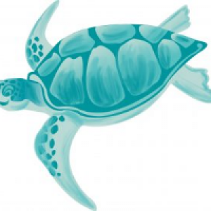 Profile avatar image for TurquoiseTurtle