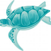 Profile avatar image for TurquoiseTurtle