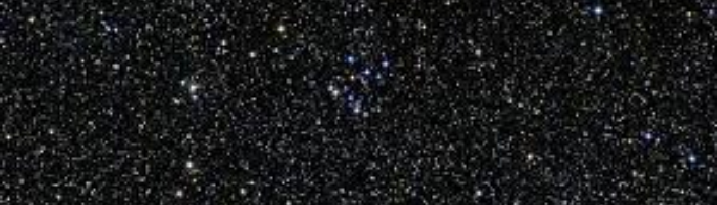 Profile banner image for DandelionPuffs