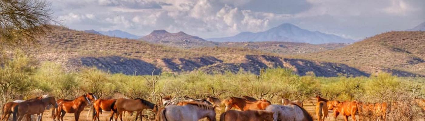 Profile banner image for Smithhill