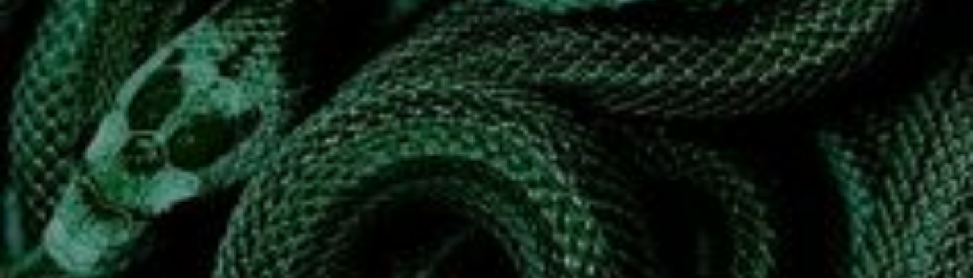 Profile banner image for Kingsley